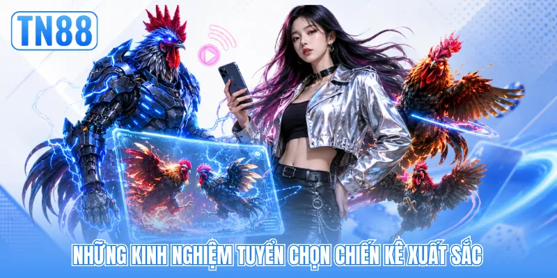 Những kinh nghiệm tuyển chọn chiến kê xuất sắc